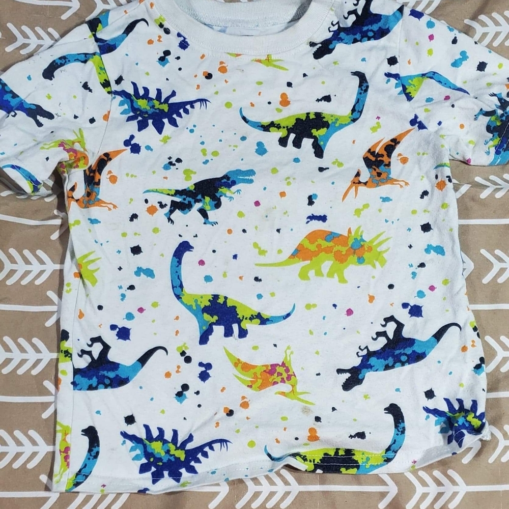 Dinosaur splat shirt